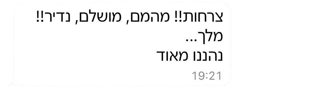 צילום מסך של הודעת וואטסאפ מלקוח